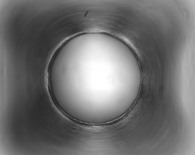 X0000088711476200705311029