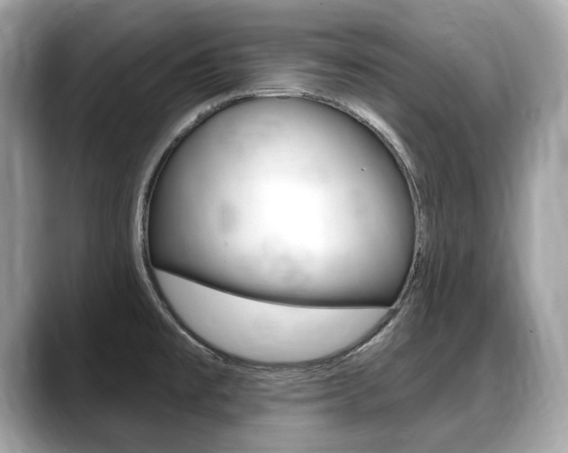 X0000088711477200705311029