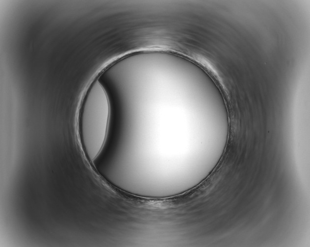 X0000088711480200705311029