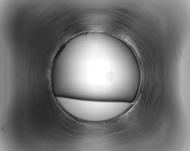 X0000088711481200705311029