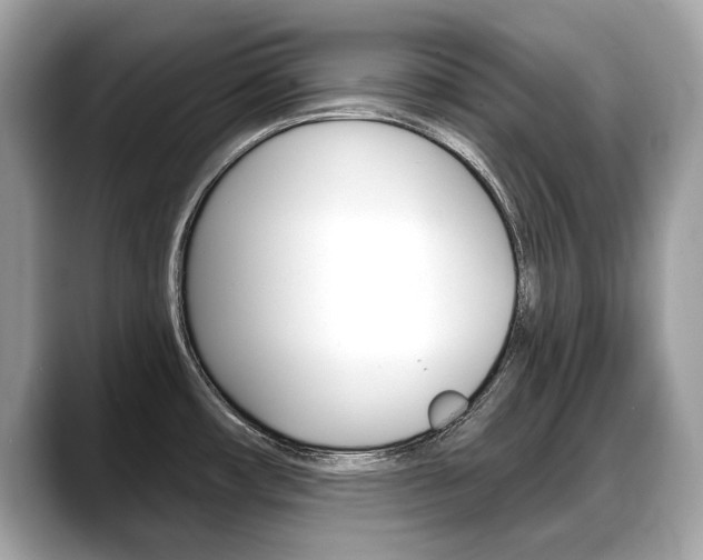 X0000088711482200705311029