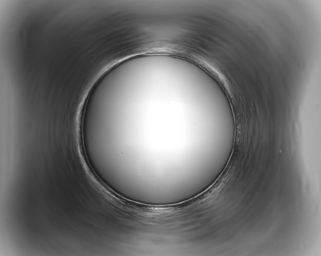 X0000088711483200705311029
