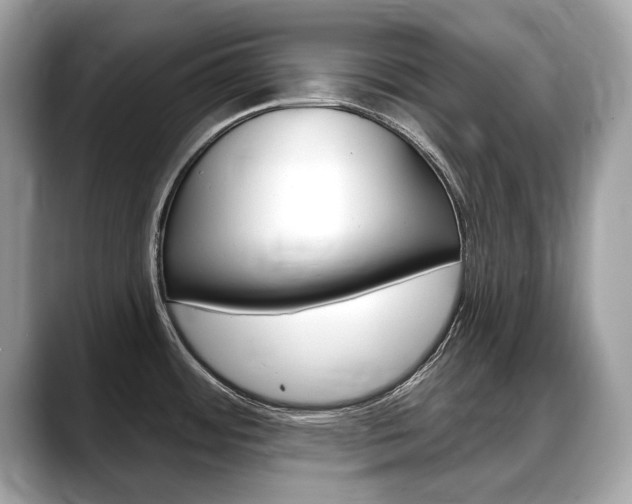 X0000088711484200705311029