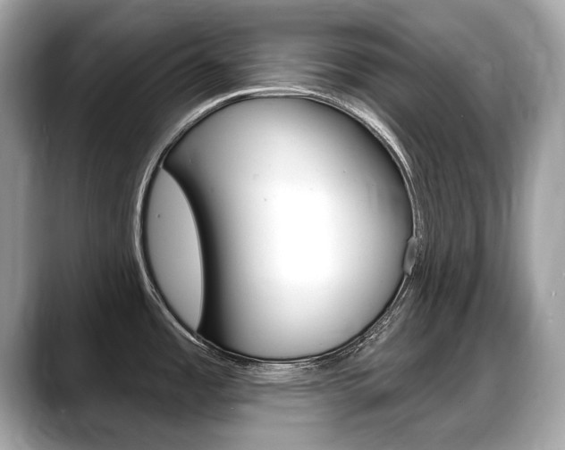 X0000088711485200705311029