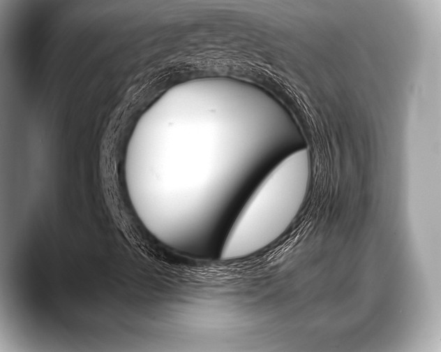 X0000088711489200705311029