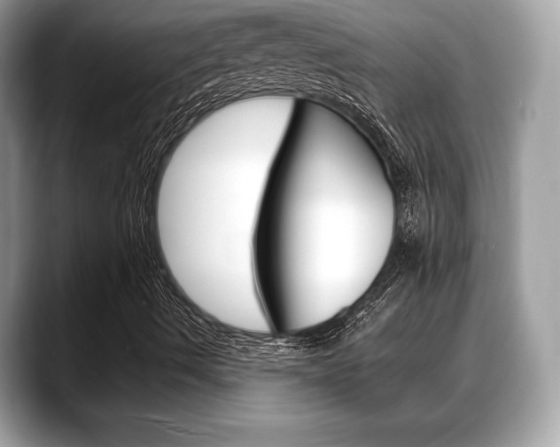 X0000088711490200705311029