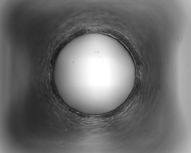 X0000088711493200705311029