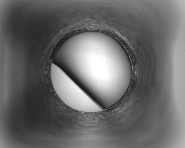 X0000088711495200705311029