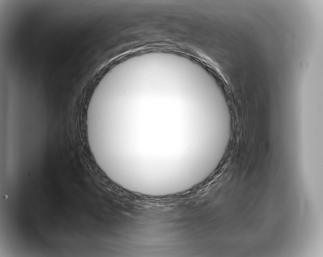 X0000088711496200705311029