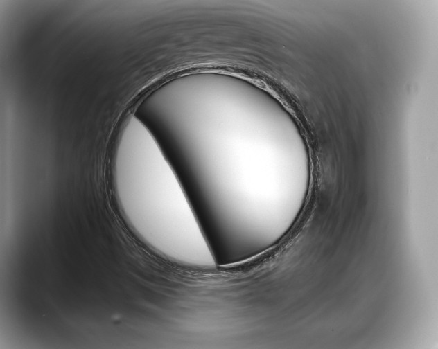 X0000088711497200705311029