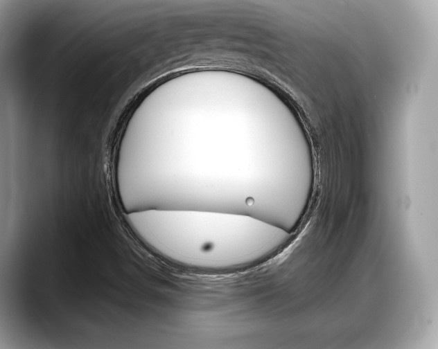 X0000088711498200705311029