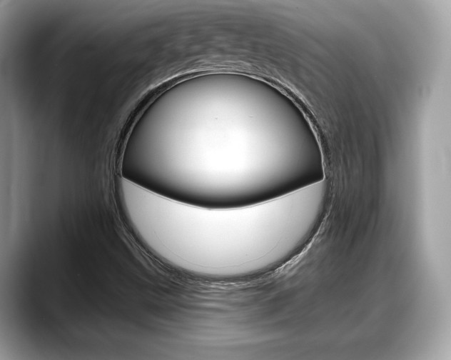 X0000088711499200705311029