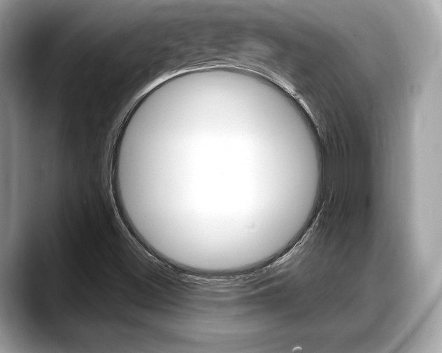 X0000088711500200705311029