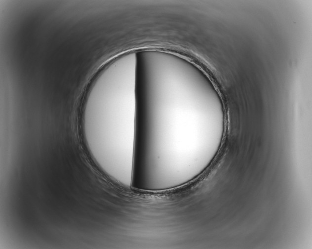 X0000088711501200705311029