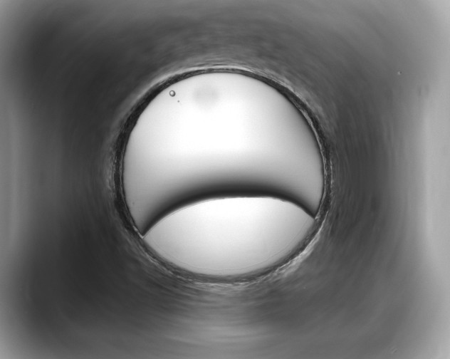 X0000088711502200705311029