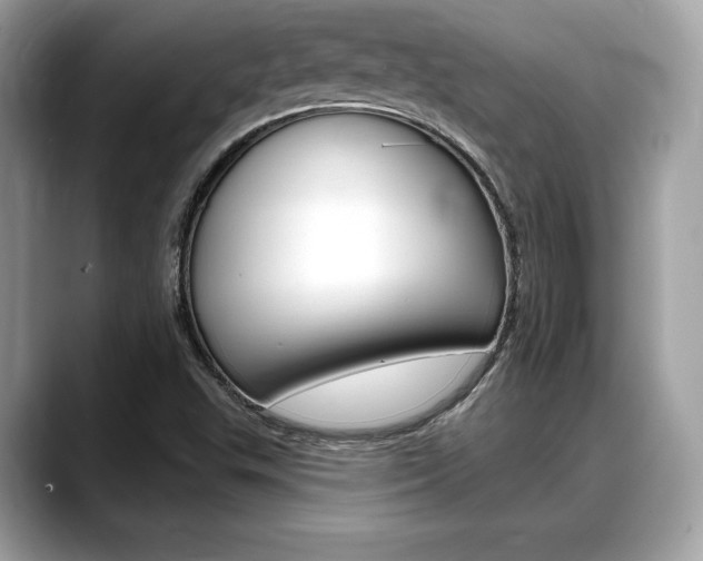 X0000088711503200705311029