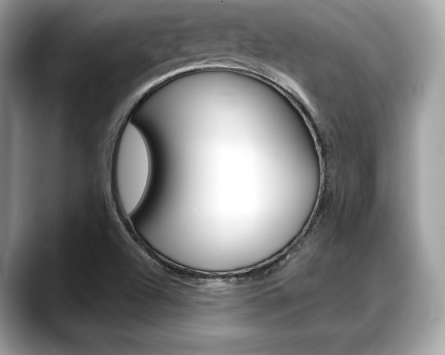 X0000088711504200705311029