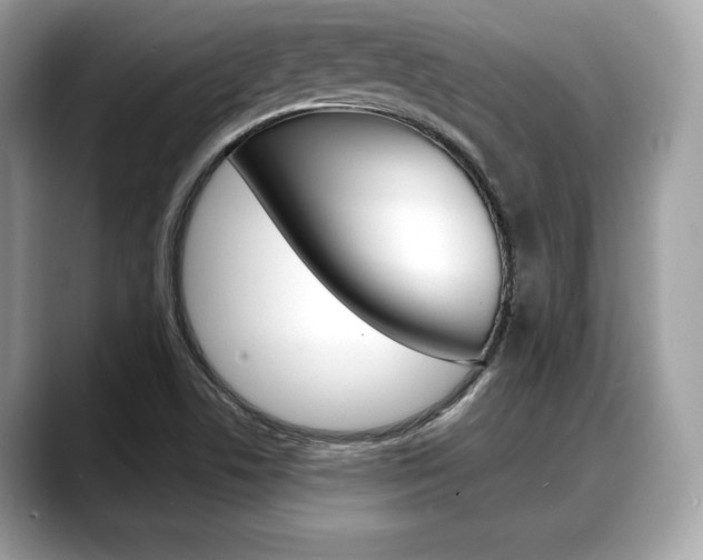 X0000088711506200705311029