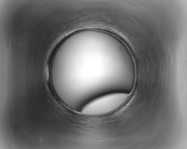 X0000088711509200705311029