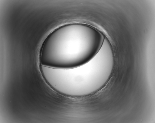 X0000088711512200705311029