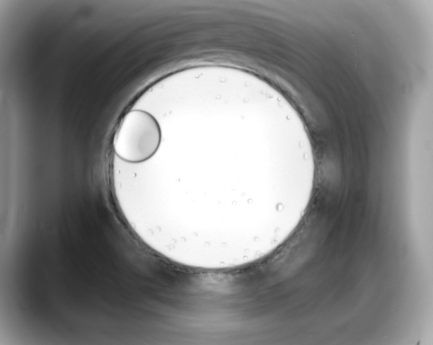 X0000088711514200705311029