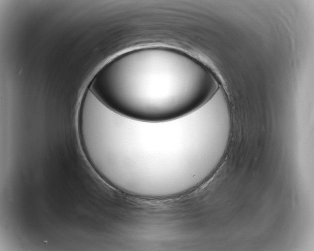 X0000088711516200705311029