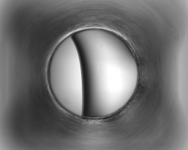 X0000088711519200705311029