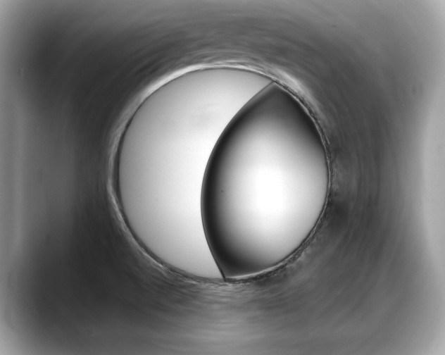 X0000088711520200705311029