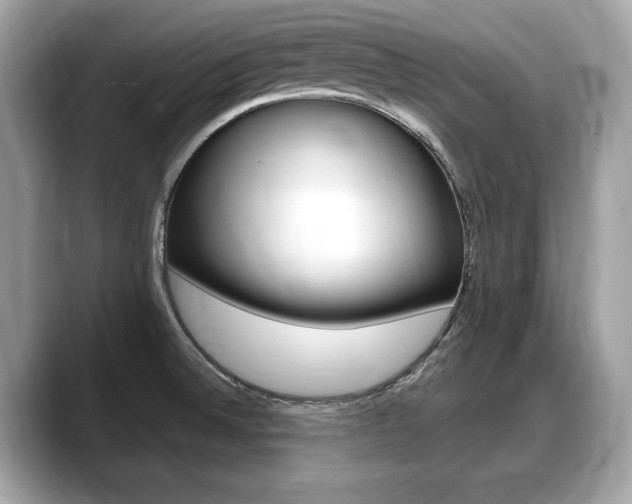 X0000088711524200705311029