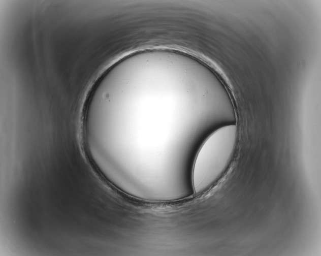X0000088711525200705311029
