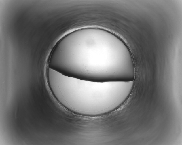 X0000088711526200705311029