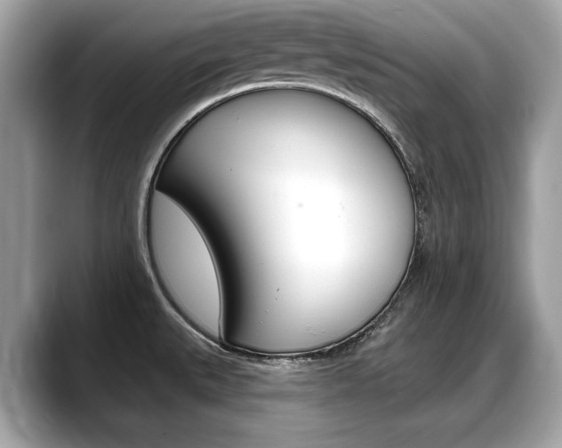 X0000088711527200705311029