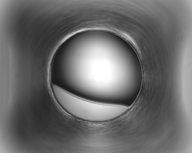 X0000088711528200705311029