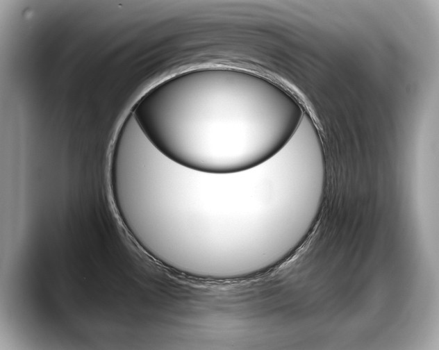 X0000088711530200705311029