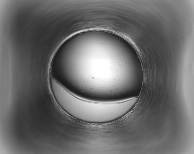 X0000088711532200705311029
