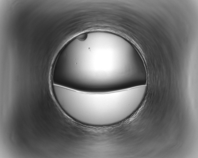 X0000088711533200705311029