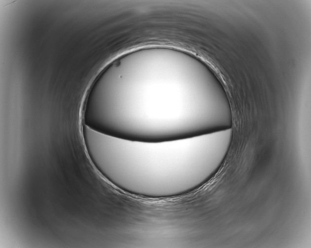 X0000088711535200705311029