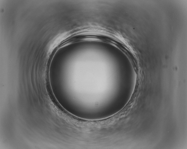 X0000088710007200705311409