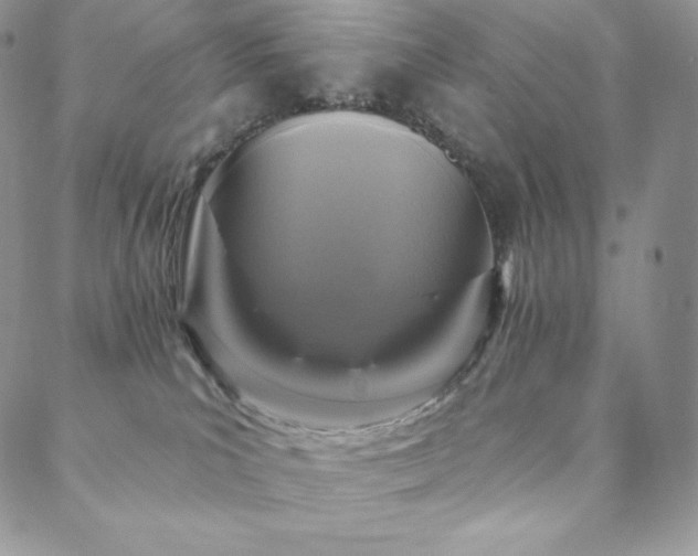 X0000088710039200705311409