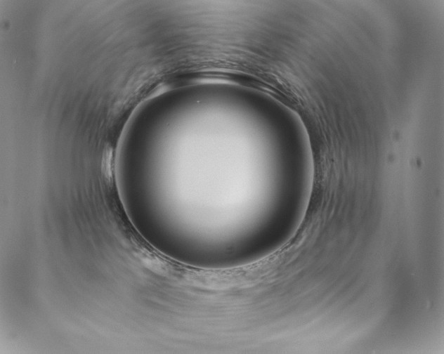 X0000088710041200705311409