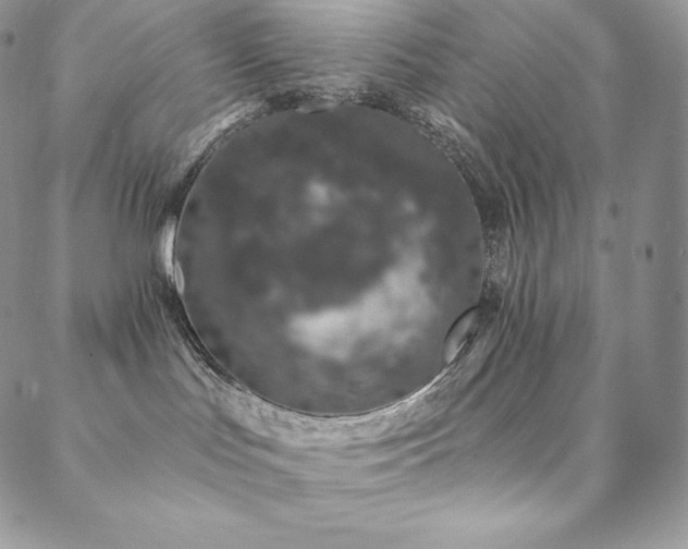 X0000088710047200705311408