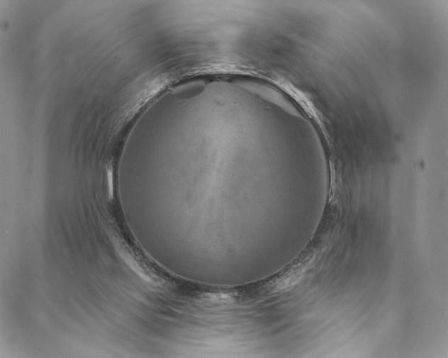 X0000088710061200705311408