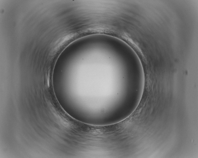 X0000088710062200705311408