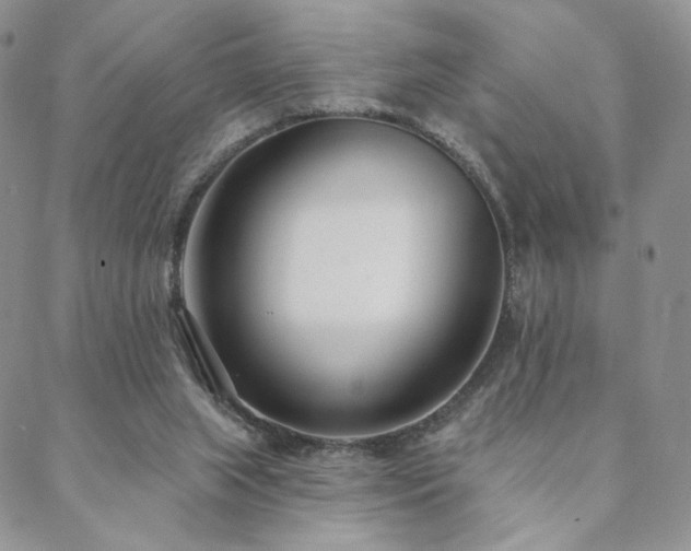 X0000088710063200705311408