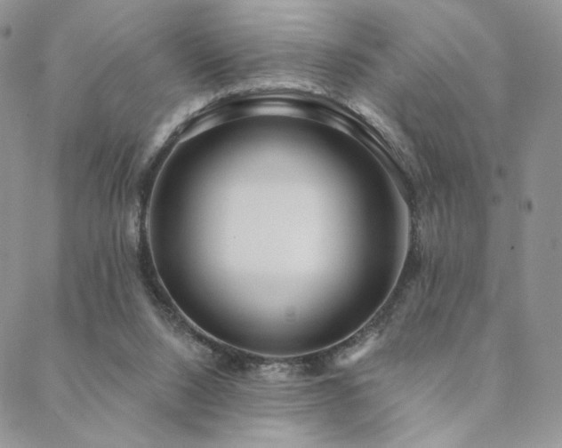 X0000088710064200705311408