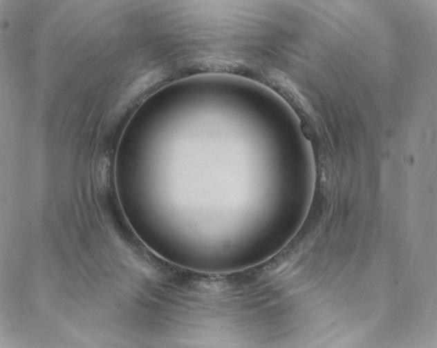 X0000088710071200705311408