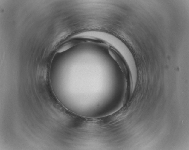 X0000088710072200705311408