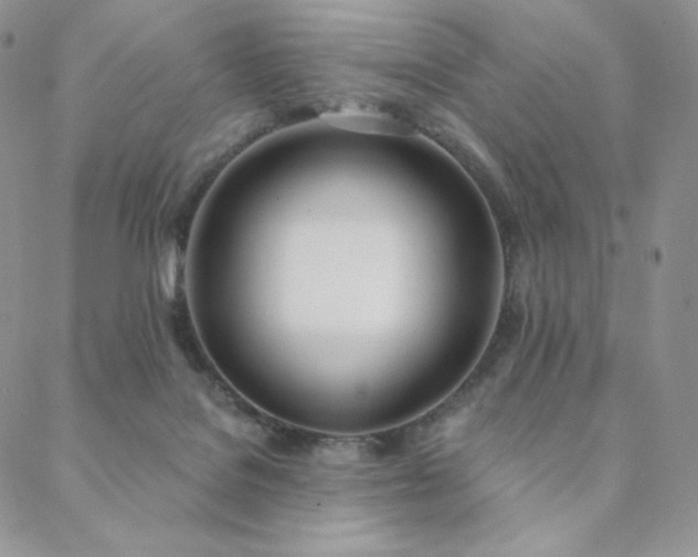 X0000088710076200705311408