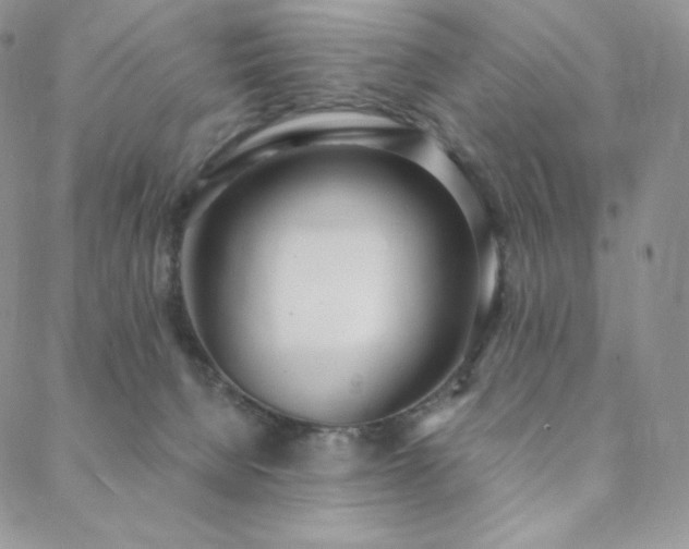 X0000088710080200705311408