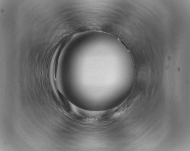 X0000088710084200705311408